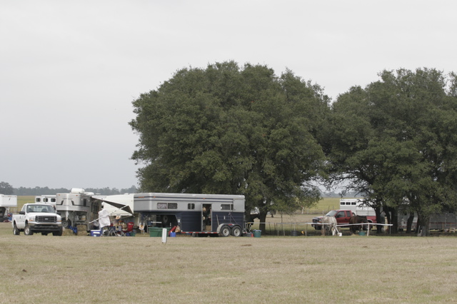 _MG_0010.JPG